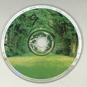 BT2/62 Kevin Kern / in the Enchanted Garden CD REAL MUSIC ヒーリング ピアノ ケビン・カーン■の画像5