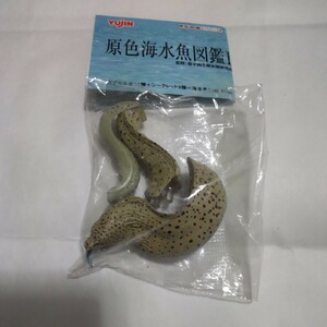 原色海水魚図鑑ⅠSPニセゴイシウツボ＆ホンソメワケベラ未開封品