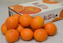 愛媛産【紅まどんな】ゼリーな柑橘類（2L~3L5~6玉 )約1.5~1.8kg 化粧箱付きご贈答用に最適_画像3