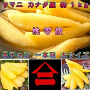 FOODISH【ヤマニ 井原水産】 ◆ヤマニ 井原水産 大サイズ 塩数の子 カナダ産◆約1kg お歳暮 お節 お祝い 寿司ネタ