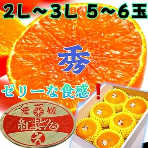 みかん愛媛産【紅まどんな】ゼリーな柑橘類 特大（2~3L 5~6玉 )約1.5~1.8kg 化粧箱付き お歳暮 贈答用 プレゼント 誕生日祝い 糖度保証