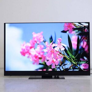 20年製 パナソニック ビエラ 4Kダブルチューナー内蔵 55インチ 有機ELテレビ TH-55GZ2000 Panasonic【直接手渡し限定】▼743h17