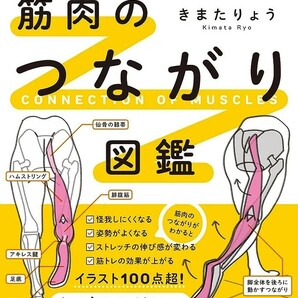 【新品 未使用】世界一わかりやすい 筋肉のつながり図鑑 きまたりょう 送料無料