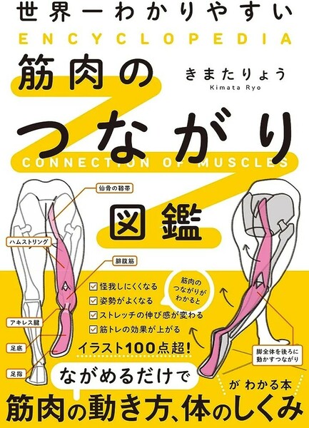 【新品 未使用】世界一わかりやすい 筋肉のつながり図鑑 きまたりょう 送料無料