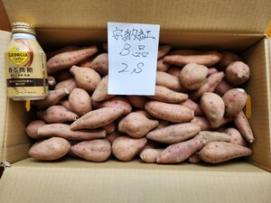 ★送料無料 B品 2S 10㎏ 種子島 安納地区で作られた安納芋 紅 ★