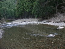 この山水で栽培