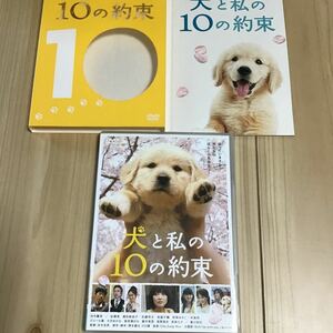 犬と私の１０の約束 プレミアムエディション／田中麗奈加瀬亮本木克英 （監督） 澤本嘉光 （原作、脚本） 川口晴 DVD 