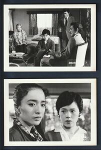 スチール写真■1985年【危険な女たち】[ B ランク ] Ver.a/2枚セット/大竹しのぶ 池上季実子 和由布子 藤真利子 小沢栄太郎 北林谷栄