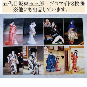 ※安値出発　坂東玉三郎　ブロマイド8枚 No29　生写真　舞台写真/23k049