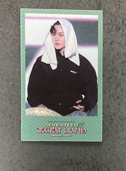 【バーノン】seventeen caratland global 特典 フォトカード トレカ ポラロイド
