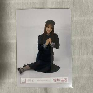 【 櫻坂46 菅井友香 2022年 ハロウィン衣装 生写真 1枚 】欅坂46 座り