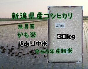 訳あり無農薬米新潟県産コシヒカリ30k中米