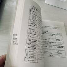 銅橋塗装設計 施工要領　　平成１４年6月　　首都高速道路公団工務部　保全施設部_画像5