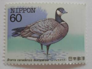 特殊鳥類第2集　シジュウカラガン　未使用60円切手（6004）