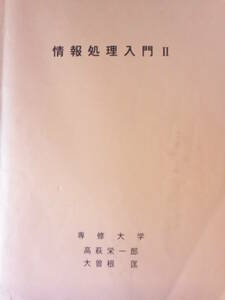 【非売品】『情報処理入門Ⅱ　高萩栄一郎　大曽根匡』　　情報Ⅰ