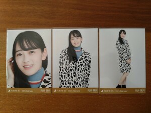 乃木坂46 向井葉月 生写真 2021.February レトロコート 3枚コンプ