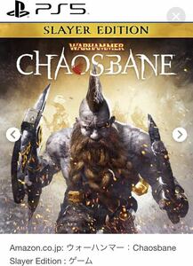 【ダウンロード版】ウォーハンマー：Chaosbane Slayer Edition PS5【コード通知】