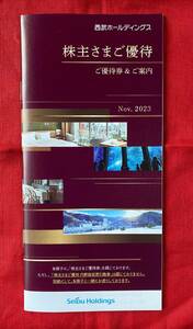 西武ホールディングス　株主優待冊子（内野指定席なし・乗車証なし）1冊　有効期限：2024/5/31（送料無料）【管理番号：AH】