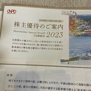 日本駐車場開発 株主優待 電子チケット一式 ナビ通知 スキー場 リフト券 那須ハイランドパーク TOWAピュアコテージ等　24.10迄