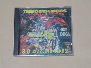 GARAGE PUNK:THE DEVIL DOGS / 30 SIZZLING SLABS(TEENGENERATE,THE MUMMIES,SUPERCHARGER,THE NEW BOMB TURKS,RAMONES,CRYPT) 