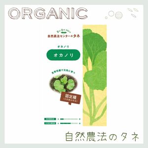 【オカノリ】 国内育成・採取 家庭菜園 種 野菜 ハーブ 葉物野菜