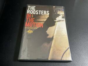 THE ROOSTERS IN THE MOTION DVD ルースターズ 大江慎也　花田裕之　井上富雄　池畑潤二 