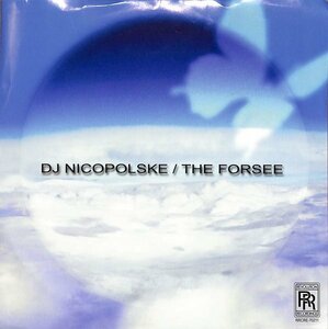 [A60] 7inch DJ NICOPOLSKE / THE FORSEE ☆ ドリカム 未来予想図II サザンオールスターズ TSUNAMI ネタ