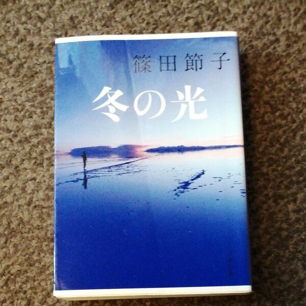 冬の光 （文春文庫　し３２－１２） 篠田節子／著