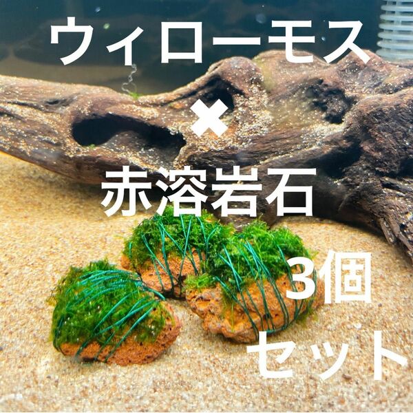 （巻きたて）ウィローモス×赤溶岩石（3cm）×3個