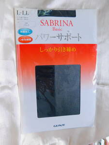 ⊿グンゼ・サブリナ　パワーサポート　L～LL　未使用