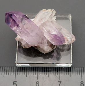 紫水晶 Amethyst 鉱物標本 美結晶 世界的著名産地 メキシコ 瑞浪鉱物展示館 4991