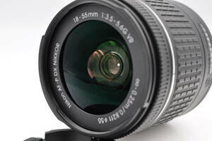 ニコン AF-P DX NIKKOR 18-55mm f/3.5-5.6G VR (060)