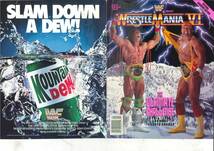 WWF アメリカンプロレス　パンフレット　1990年4月1日 レッスルマニアⅥ　HULK HOGAN vs ULTIMATE WARRIOR _画像1