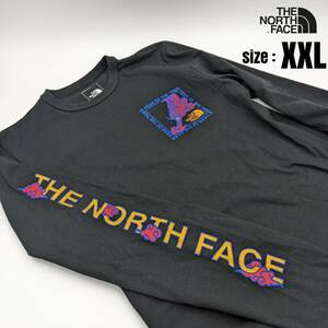 【日本未発売】THE NORTH FACE ノースフェイス ロンT 長袖 ロング Tシャツ メンズ 黒 ブラック/XXL ニューイヤーモデル トラ アメリカ