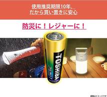 4本 ANシリーズ(アルカリ1) 東芝(TOSHIBA) アルカリ乾電池 単1形 4本入 1.5V 推奨期限10年 液漏れ防止構造_画像6