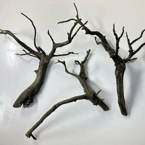  debut!nesia driftwood black type M size approximately 20cm from 30cm form incidental 3 pcs set 1 point thing 