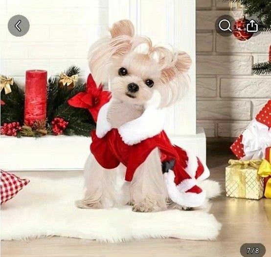 犬服 クリスマスMsize サンタクロース