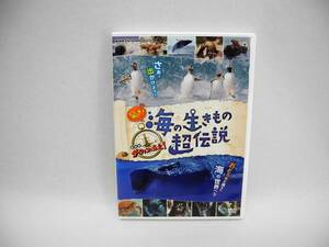 D15879【DVD】驚き! 海の生きもの超伝説 劇場版ダーウィンが来た!
