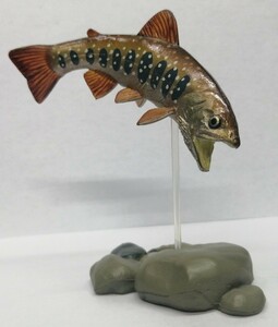 イワナ　岩魚　いわな　渓流魚　フィギュア