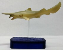 ミツクリザメ　鮫　深海魚　ゴブリン シャーク　GOBLIN SHARK　フィギュア_画像1