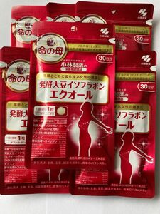 【匿名配送】小林製薬 発酵大豆イソフラボン エクオール 30日分 30粒 × 6個