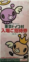 東京ドイツ村 入園ご招待券 入場ご優待券 1枚 招待券一枚で駐車料金1000円のお支払いで乗車者全員入園料無料で入園できます。6月30日まで_画像1