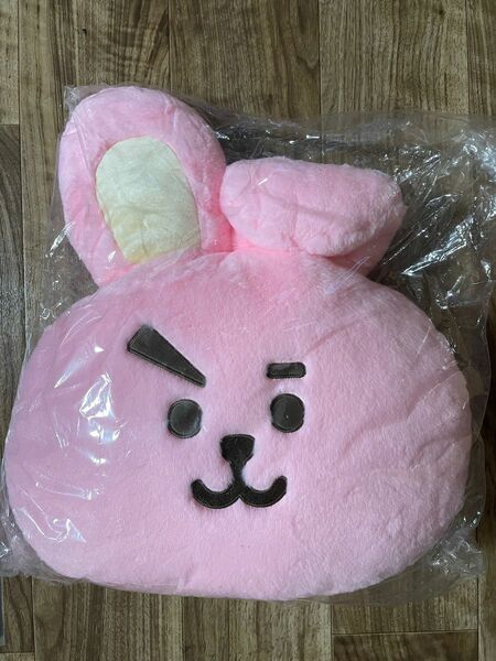 BT21 COOKY 