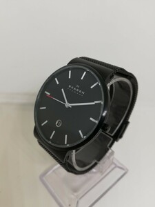 【稼働品】SKAGEN スカーゲン SKW6053 メンズクォーツ腕時計