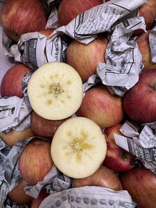 お買い得　福島県産　フレッシュ富士リンゴ　家庭用箱込み10kg 綺麗なリンゴ