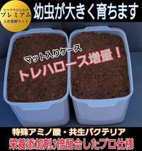 外産カブトの幼虫を入れるだけ！便利です！プレミアム発酵マット4400mlケース付き☆微粒子3次発酵！栄養添加剤・共生バクテリア３倍配合！_画像1