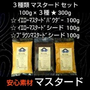 ● マスタード 各１００g× ３種類 ● 安心素材