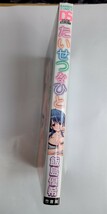 【コミック100円〜】 たいせつなひと2010年 初版　飯島優希 竹書房 　中古　匿名配送　ポスト投函　_画像4