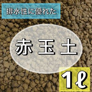 庭屋が薦める赤玉土　1リットル　小粒 多肉植物 サボテン 観葉植物 土 