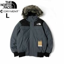 1円～!売切!【正規新品】THE NORTH FACE◆MCMURDO BOMBER JACKET マクマードボンバー ダウンジャケット US限定 撥水(L)グレー 190122-175_画像3